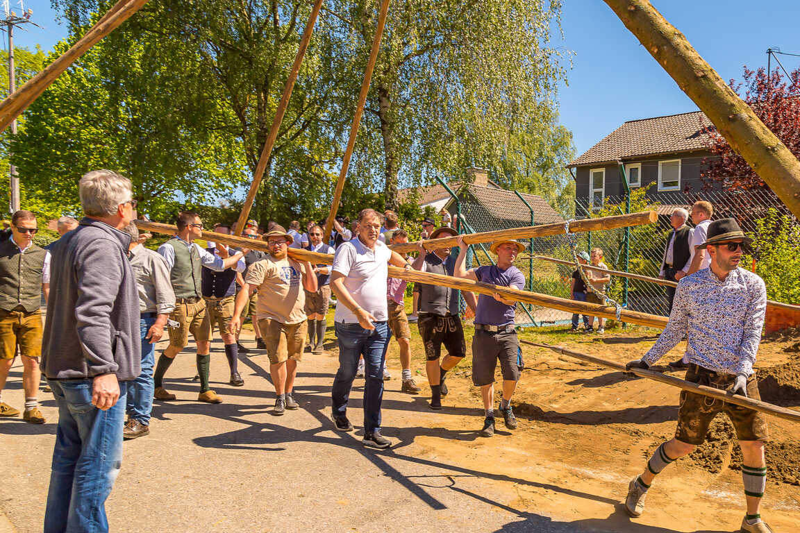 Image: _JA 31335 Maifest Hohenried 2026.jpg
